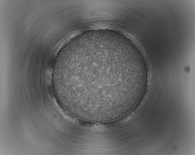X0000114551233200911091148