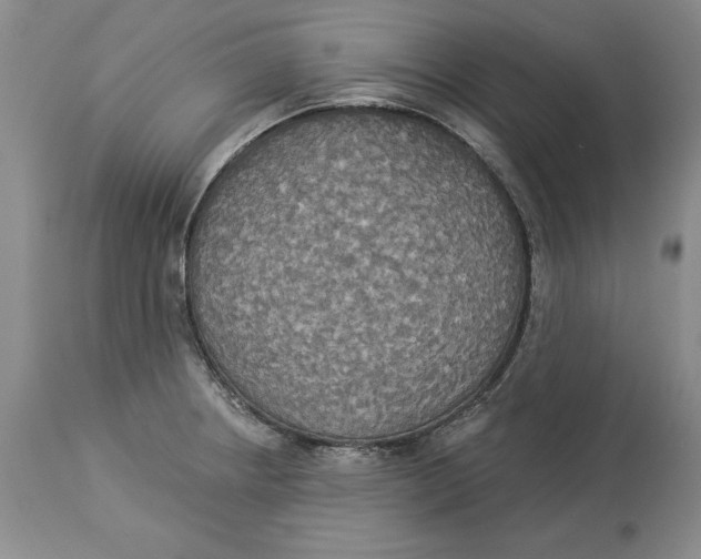 X0000114551234200911091148