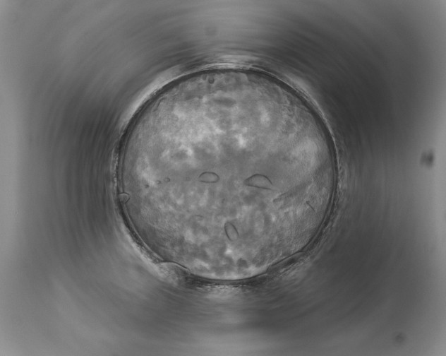 X0000114551235200911091148