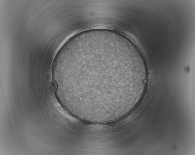 X0000114551236200911091148