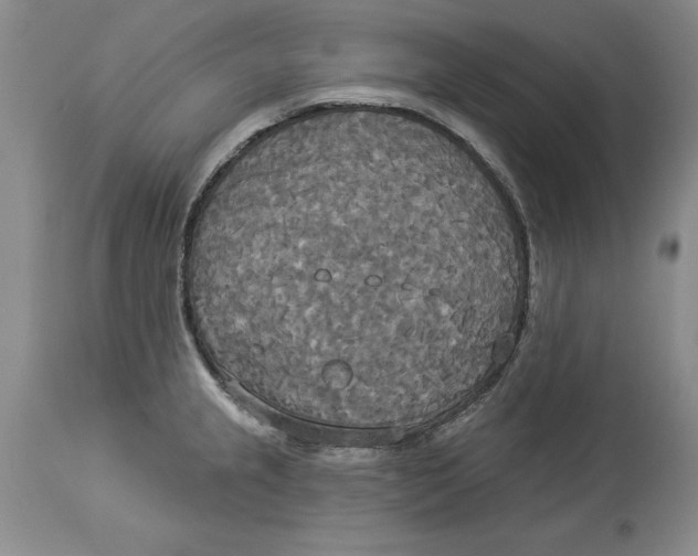 X0000114551237200911091148