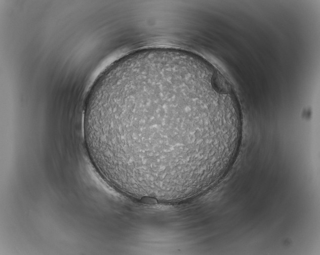 X0000114551238200911091148