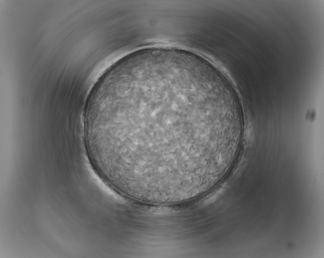 X0000114551239200911091148