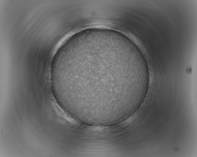 X0000114551240200911091148