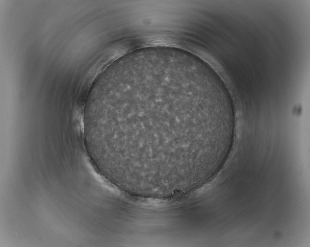X0000114551241200911091148