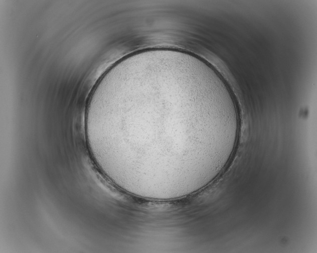 X0000114551242200911091148