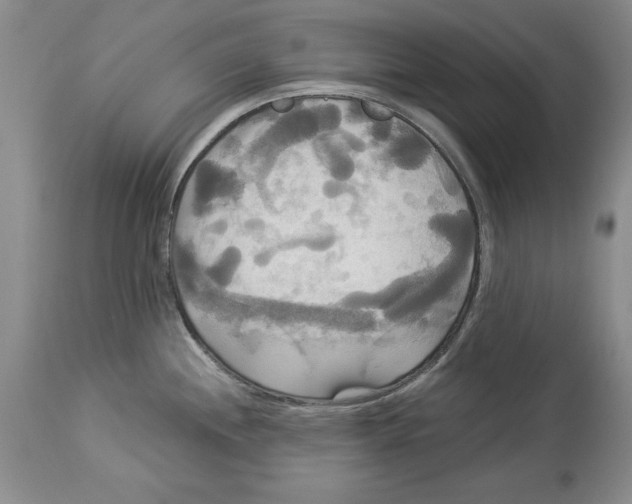 X0000114551244200911091148