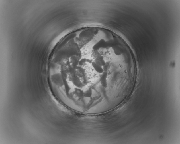 X0000114551245200911091148
