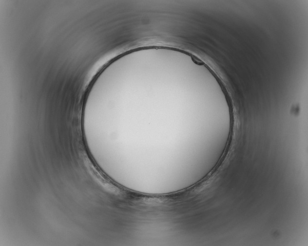 X0000114551246200911091148