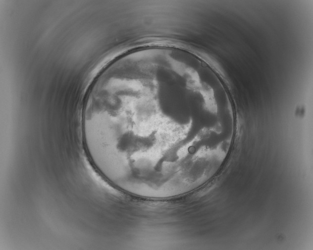 X0000114551247200911091148