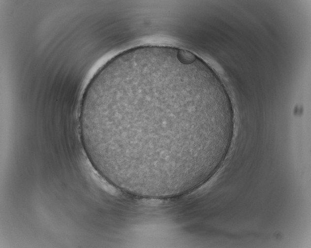 X0000114551248200911091148