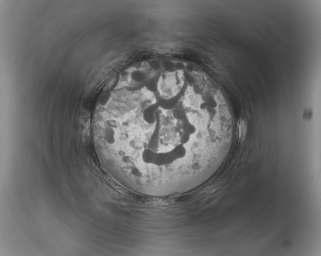 X0000114551251200911091147