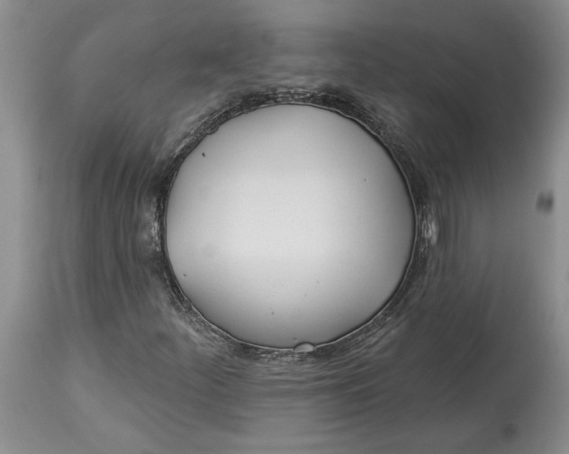 X0000114551252200911091147