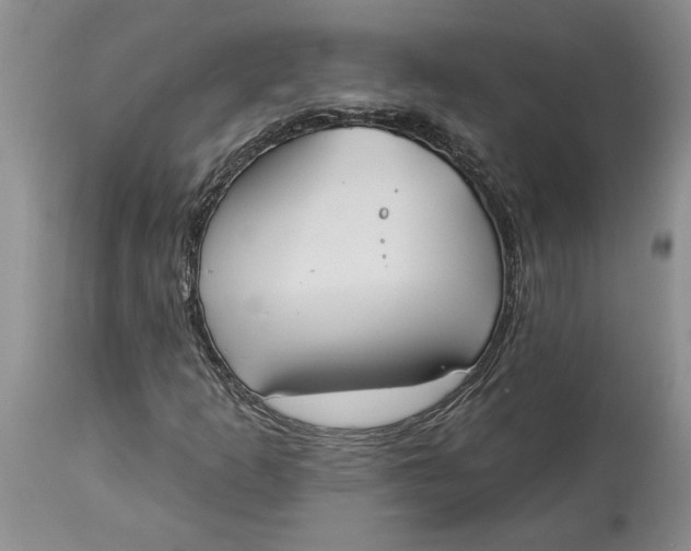 X0000114551253200911091147