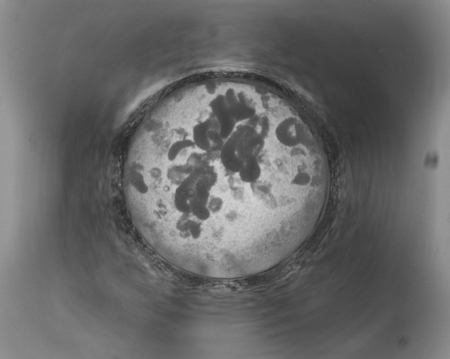 X0000114551255200911091147
