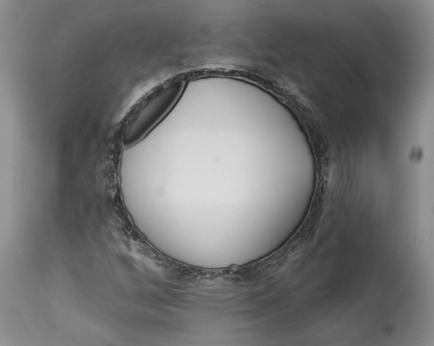 X0000114551256200911091147