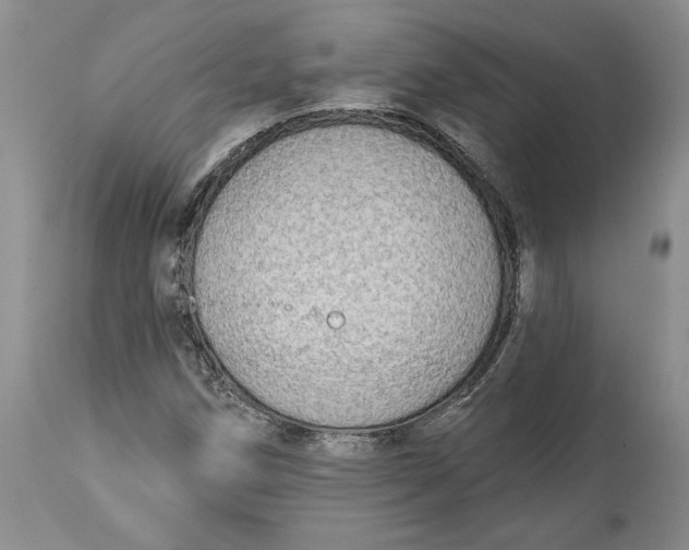 X0000114551258200911091147