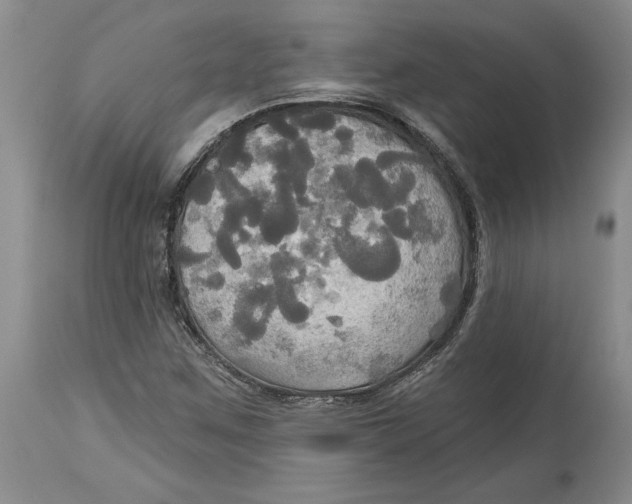 X0000114551259200911091147