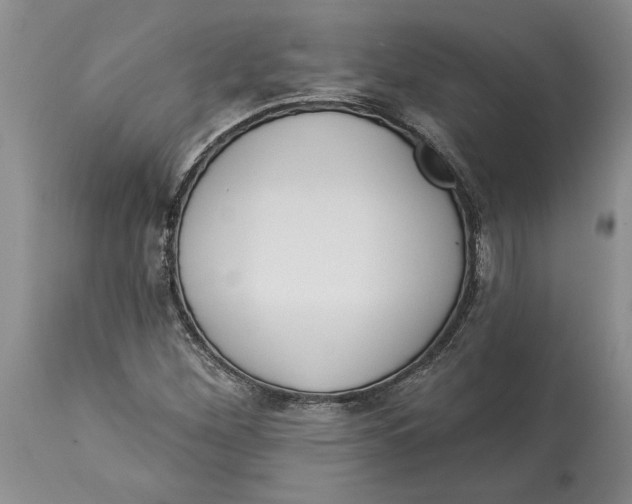 X0000114551260200911091147