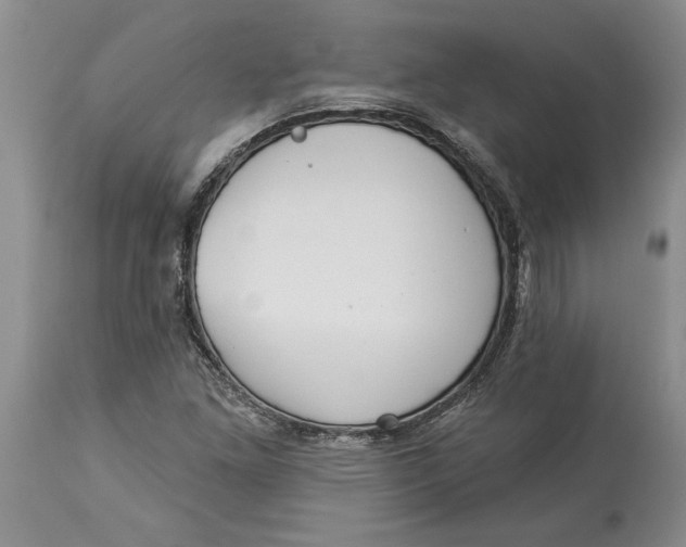 X0000114551261200911091147
