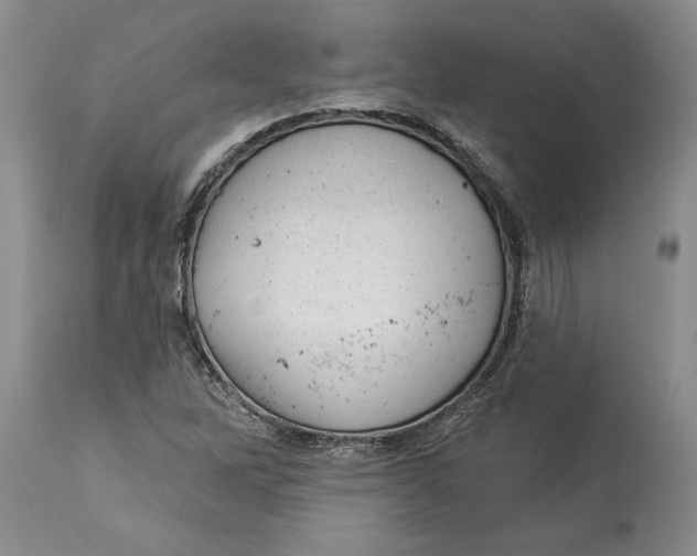 X0000114551262200911091147