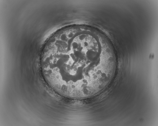 X0000114551263200911091147