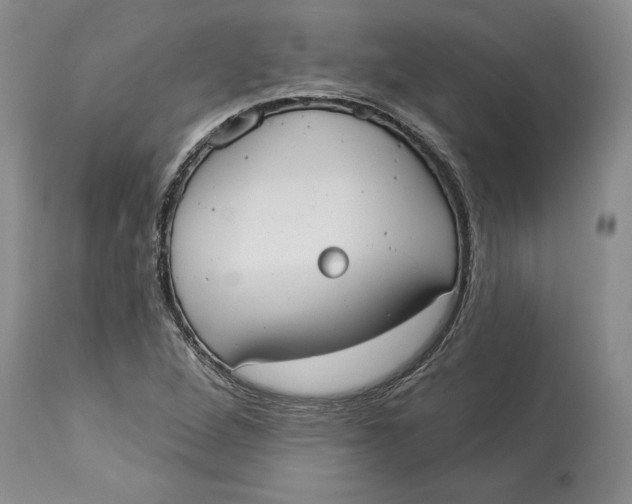 X0000114551264200911091147
