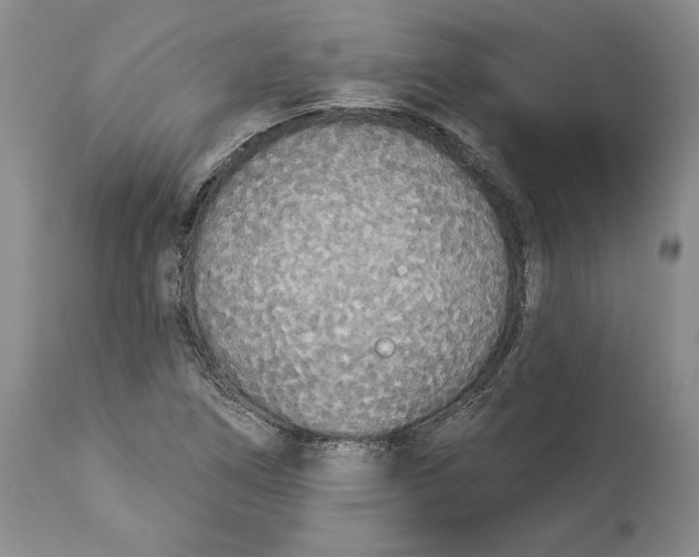 X0000114551266200911091147