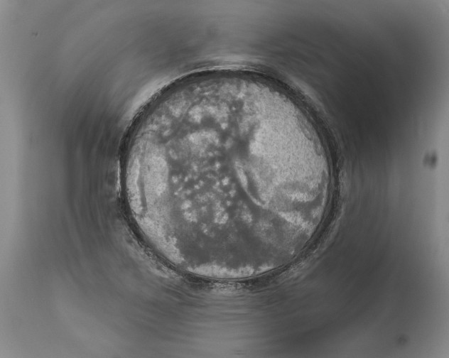 X0000114551267200911091147