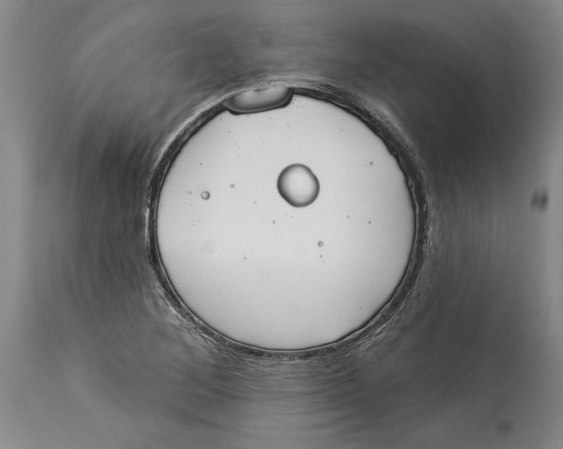 X0000114551268200911091147