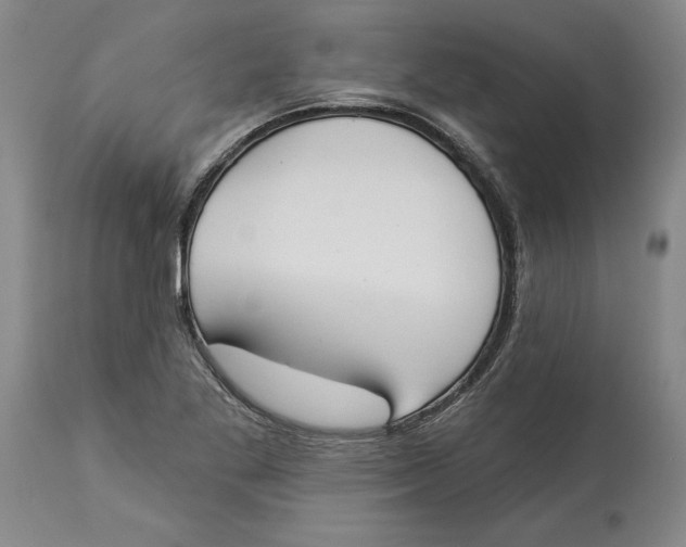X0000114551269200911091147
