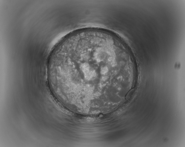 X0000114551271200911091147