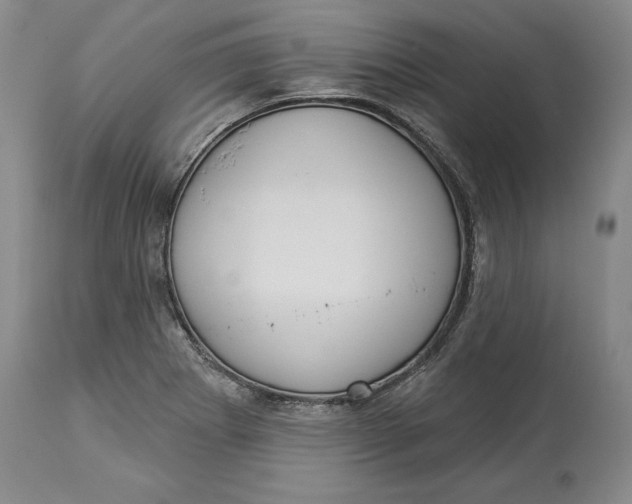 X0000114551273200911091147