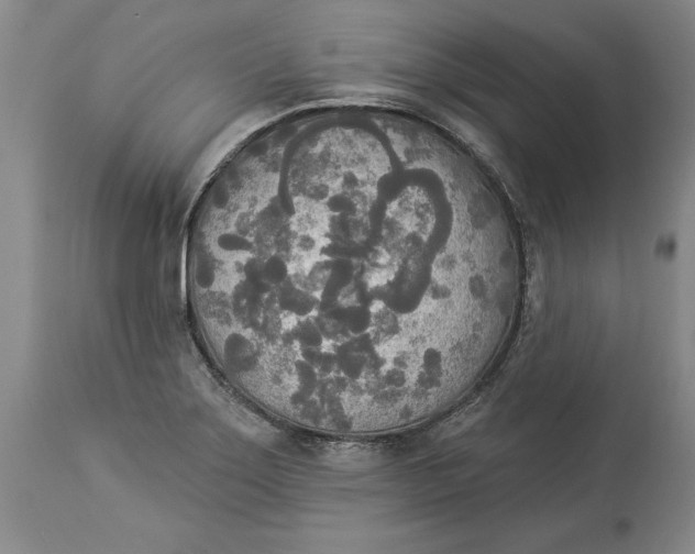 X0000114551275200911091147