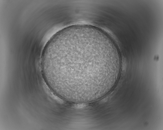 X0000114551278200911091147