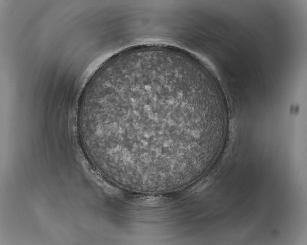 X0000114551279200911091147