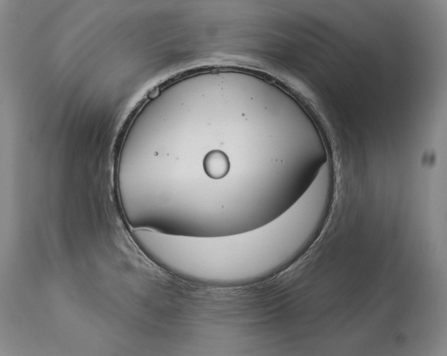X0000114551280200911091147