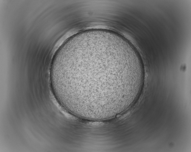 X0000114551282200911091147