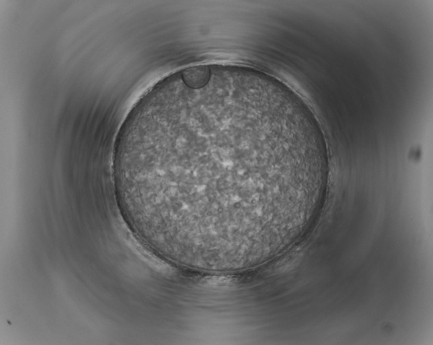X0000114551283200911091147
