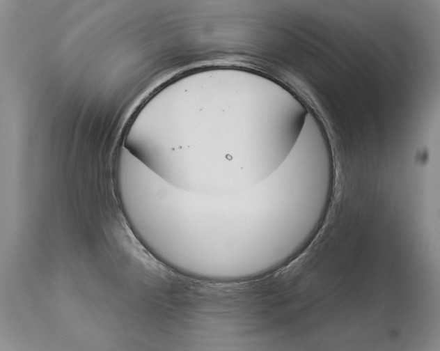 X0000114551284200911091147