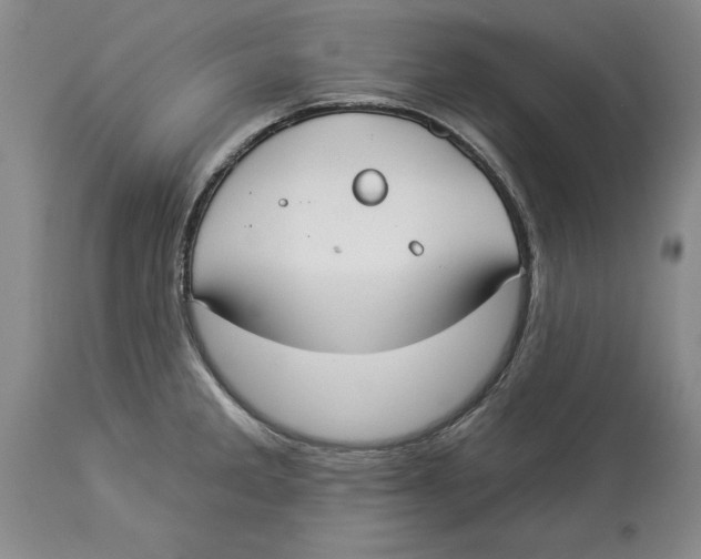 X0000114551285200911091147