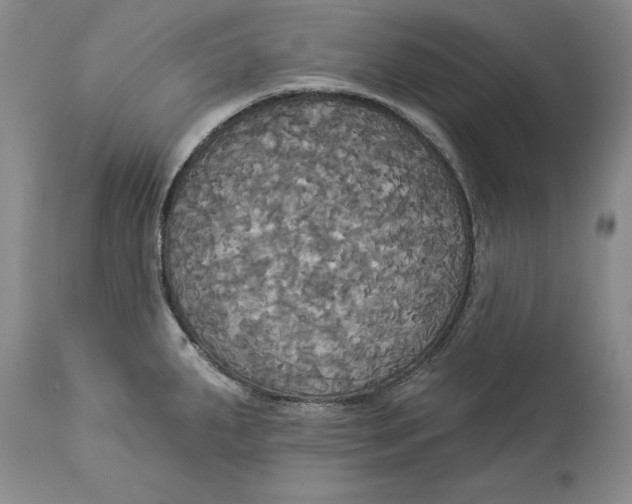 X0000114551287200911091147