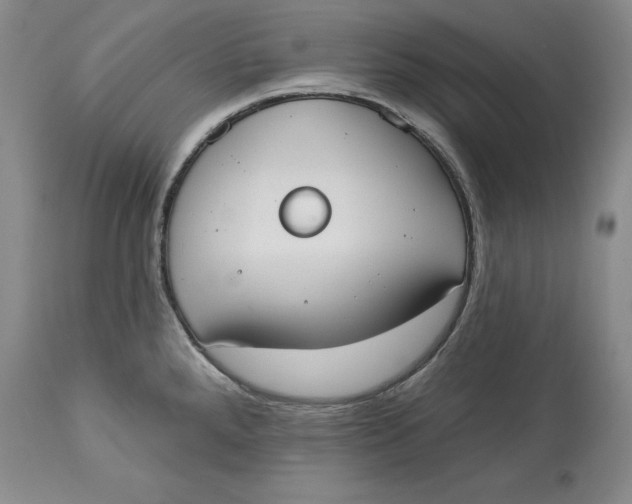 X0000114551288200911091147