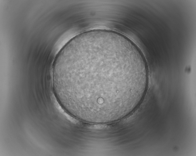 X0000114551290200911091147