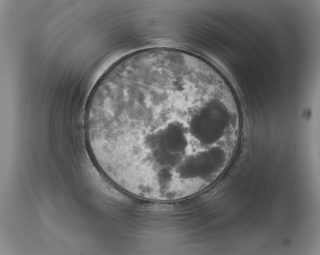X0000114551291200911091147