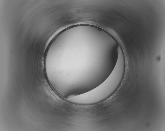 X0000114551292200911091147