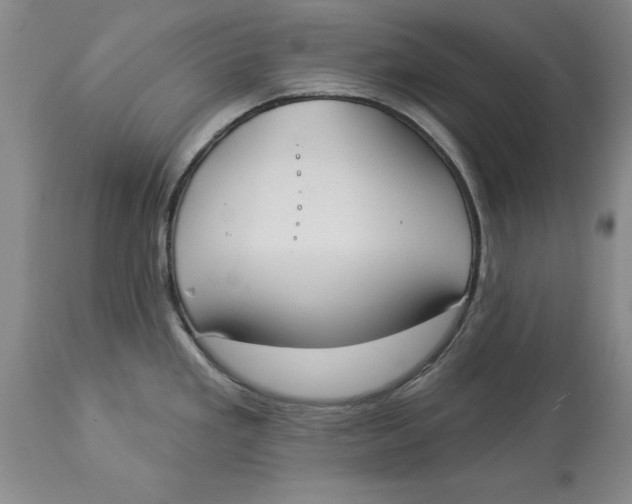 X0000114551293200911091147