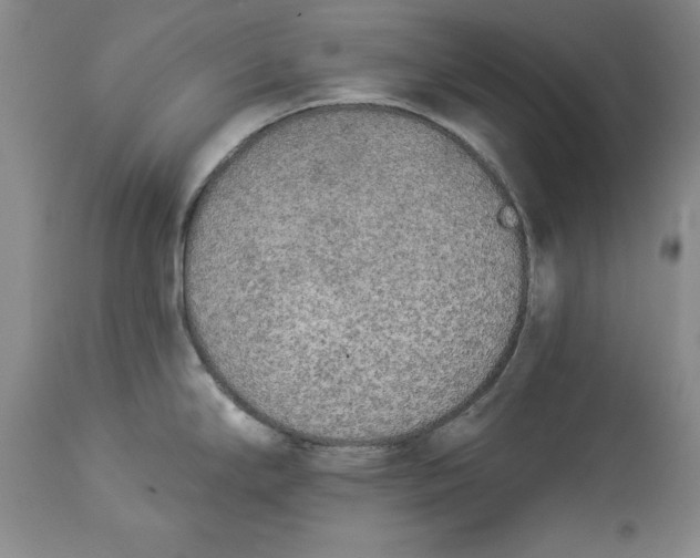 X0000114551294200911091147