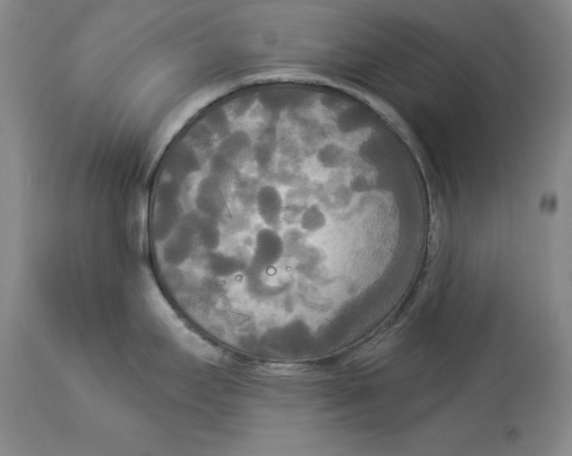 X0000114551295200911091147