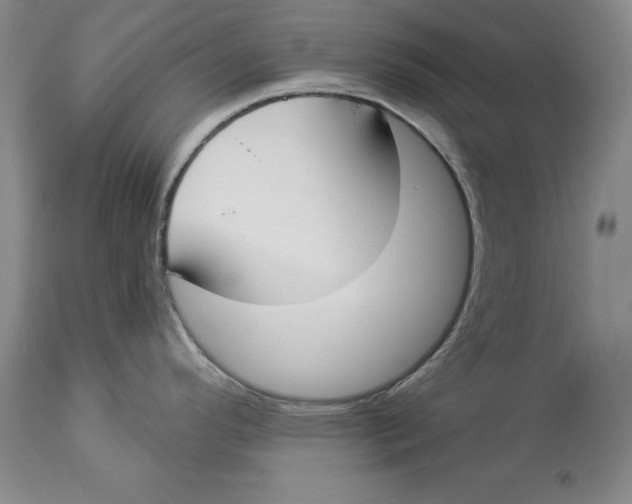 X0000114551296200911091147